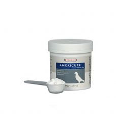 Amoxicure Powder 120 gms